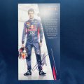 セバスチャン ベッテル　RED BULL 直筆サイン入り　ドライバーズカード 2014  (Aタイプ）