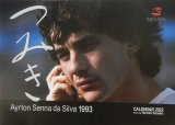 画像: アイルトン・セナ　2022年版 卓上カレンダー　「つみき」 (1993年 マクラーレンチーム) 金子博 